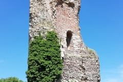 IMG_20190601_115826